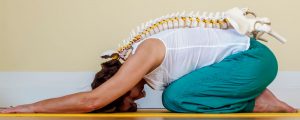 Rockland County Chiropractor