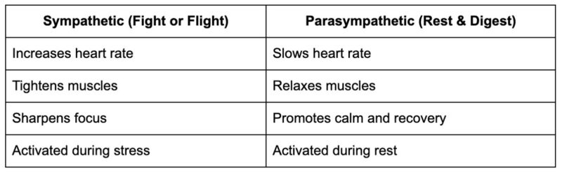 Stress, Anxiety, and the Fight-or-Flight Response
